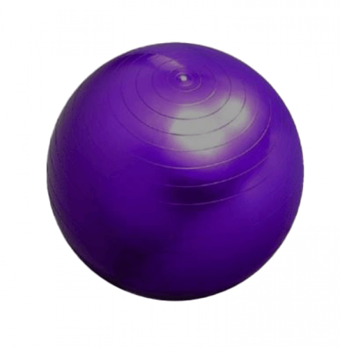 الكرة السويسرية