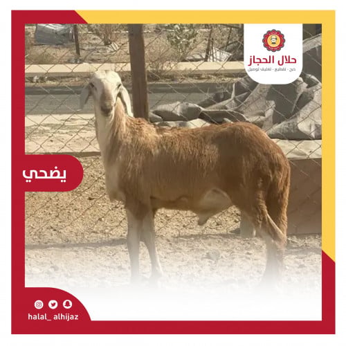 سواكني ثني