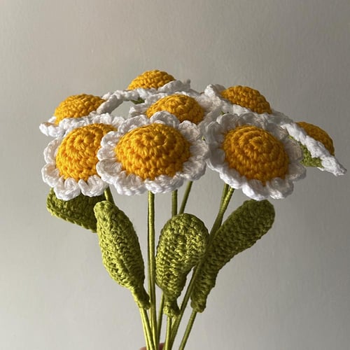 باقة اقحوان