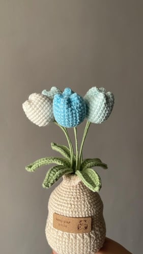 باقة ورد التوليب الازرق