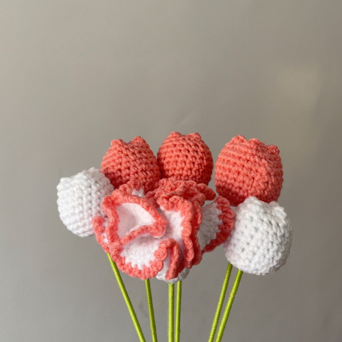 زهور القرنفل