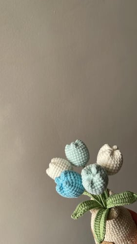 باقة ورد التوليب الازرق