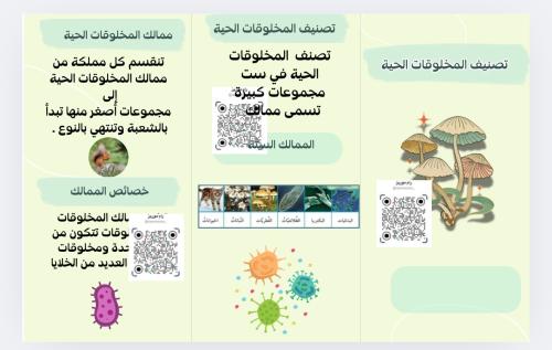 تصنيف المخلوقات الحية