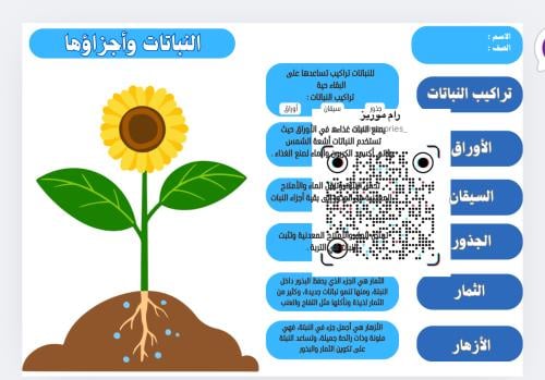 النباتات وأجزاؤها