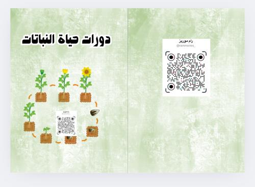 دورات حياة النبات