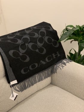 Scarf Coach