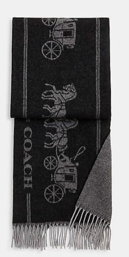 Scarf Coach
