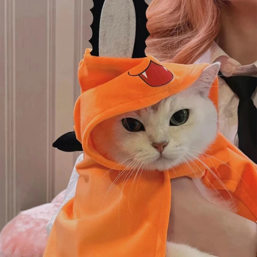 كوسبلاي رجل المنشار للقطط|Cosplay chainsaw man for kittens