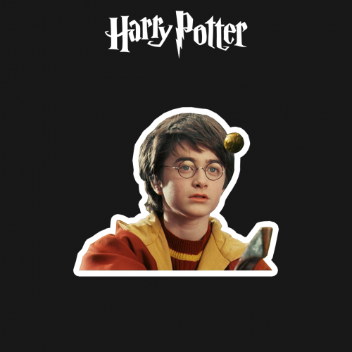 HARRY POTTER | هاري بوتر