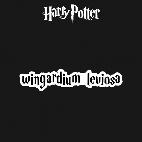 HARRY POTTER | wingardium leviosa