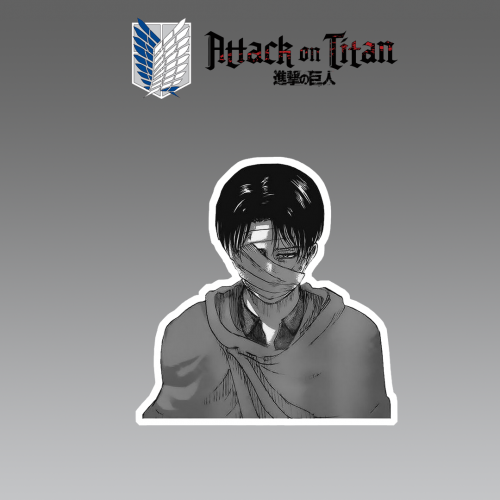 ATTACK ON TITANS | ليفاي