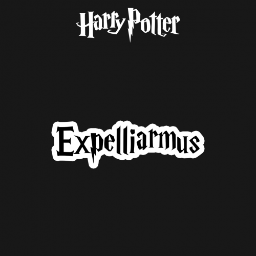 HARRY POTTER | Expelliarmus