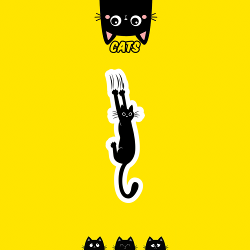 CUTE CAT | القطط الطريفة