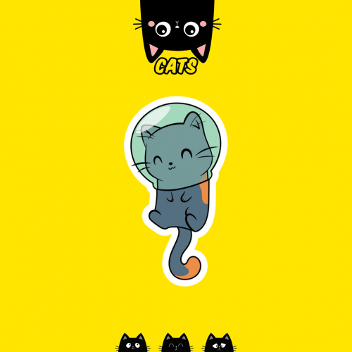 CUTE CAT | القطط الطريفة