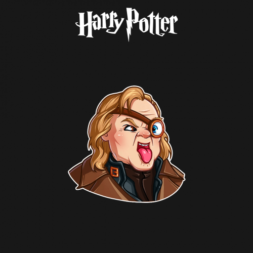 HARRY POTTER | الاستور مودي