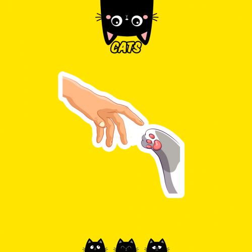 CUTE CAT | القطط الطريفة