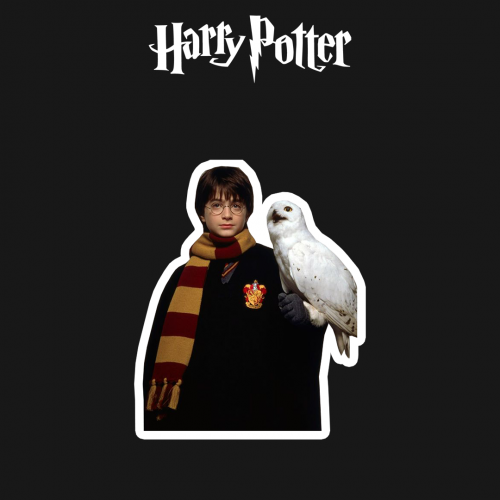 HARRY POTTER | هاري بوتر