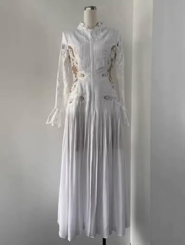 فستان باكمام طويله