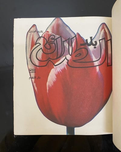 دار رادوغا: بلد الطلائع