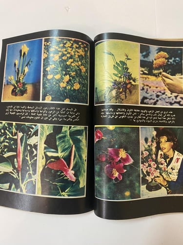 مجلة الهلال مجلة الفكر العربي "عرس حسناء الزمان -...