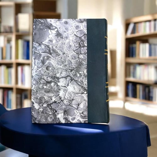 أيام في أمريكا - الدكتور زكي نجيب