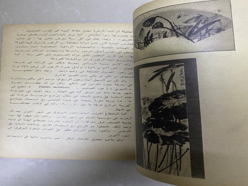 مجلة الهلال - عدد ممتاز غلاف فتاة بجدائل.