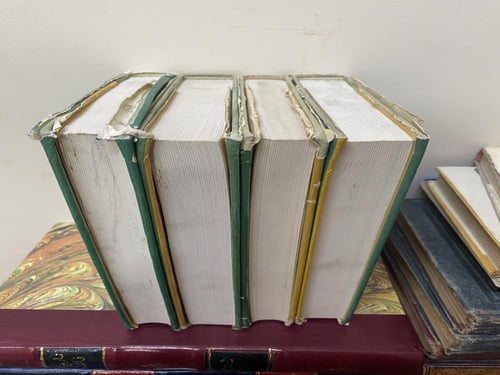 رادوغا والتقدم: المؤلفات الكاملة لأنطوان تشيخوف