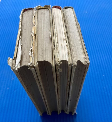 دار رادوغا: المؤلفات المختارة لميخائيل شولوخوف