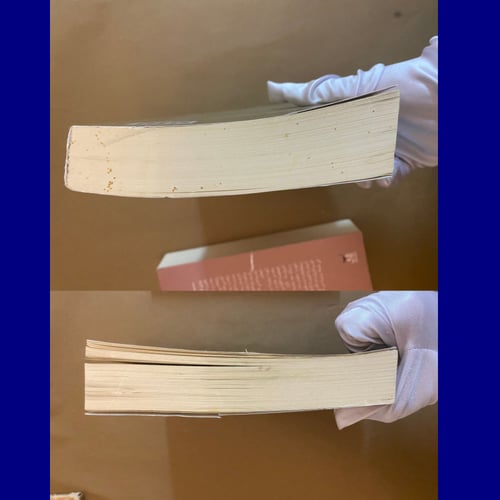 رواية الجريمة والعقاب بجزئيها- مستعمل