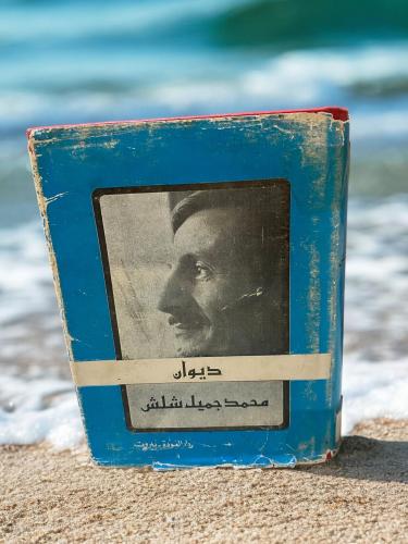 دواوين العودة: ديوان محمد جميل شلش