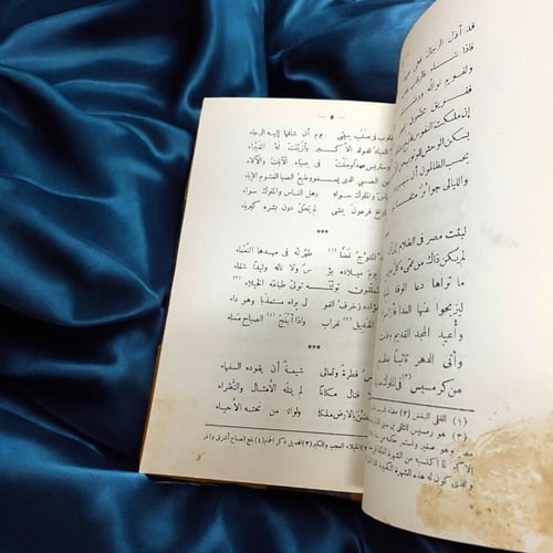 الشوقيات-جزئين- مطبعة مصر