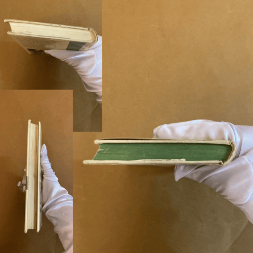 دار التقدم: الإخوان ايغناتوف