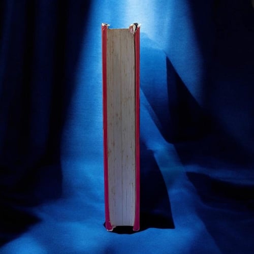 دار التقدم- ستيبانوفا: كارل ماركس سيرة الحياة