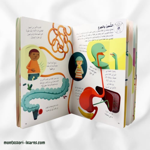 اكتشف جسم الإنسان مع طيات