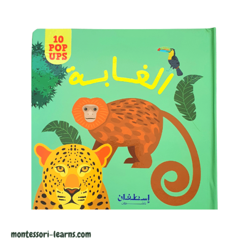 كتاب الغابة ثلاثي أبعاد