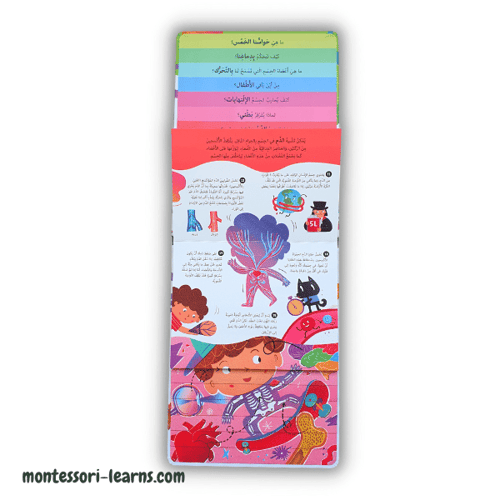 خطوة خطوة جسم الإنسان