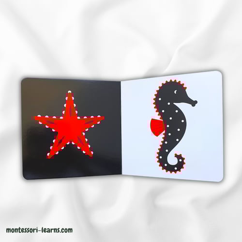 طفل منتسوري الحيوانات البحرية