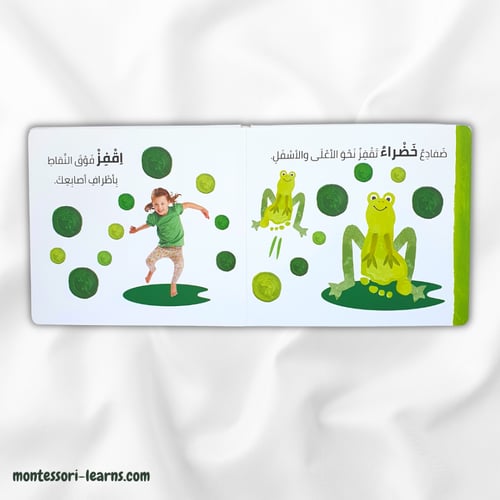 الرؤية اللمس الإحساس الألوان