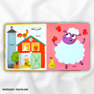 أول 100 كلمة المزرعة