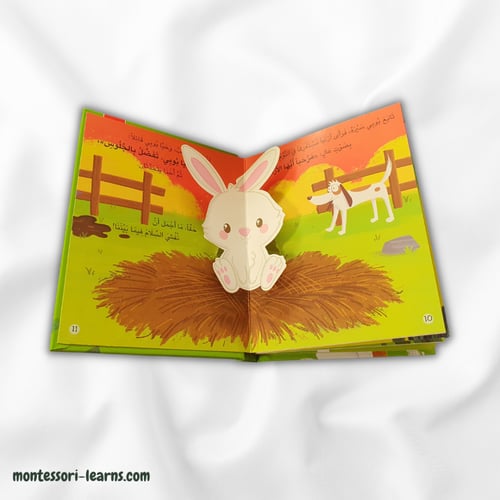 قصص ثلاثية الأبعاد - أريد أن أحي أصدقائي