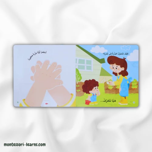 المكتشف الصغير البذور والزراعة