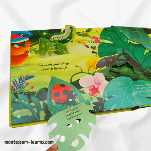 مملكة الحيوان ( الحشرات)