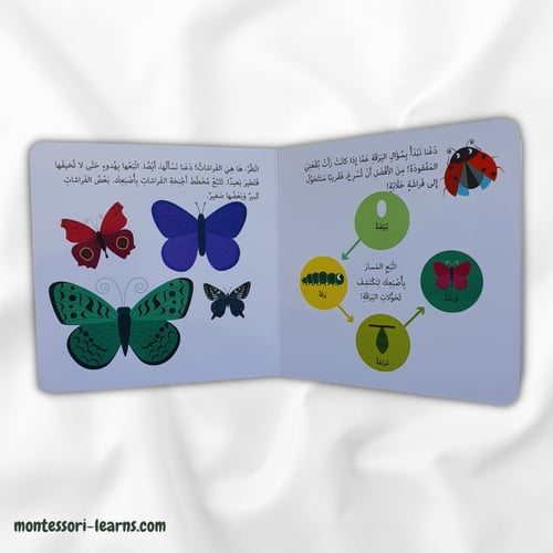 كتابي الأول الحدائق