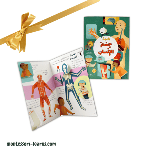 مجموعة اهداء اكتشف جسم الإنسان