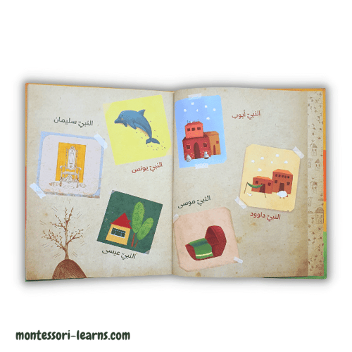 قصص الأنبياء ( اختر النوع )