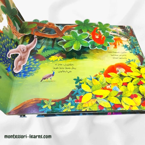 مملكة الحيوان ( الغابة)