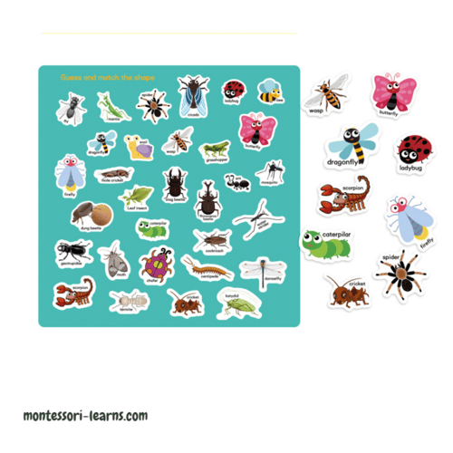 كتاب ملصقات المشاهد ( الحشرات )