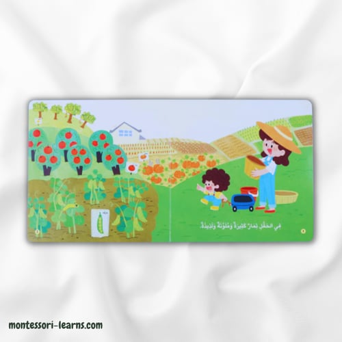 المكتشف الصغير الثمار الملونة