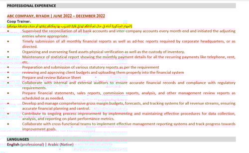 Finance CV