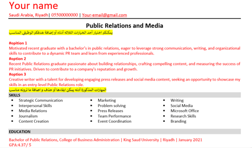 Public Relations and Media CV